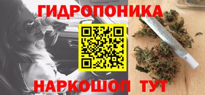 ГАЛЛЮЦИНОГЕННЫЕ ГРИБЫ Кулебаки